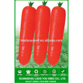 NCA01 Luobo семена моркови цена моркови сеялки из Китая